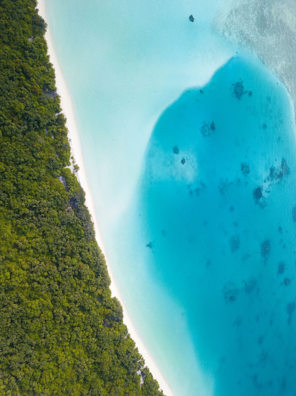 Aerial view of a turquoise Maldivian lagoon and island