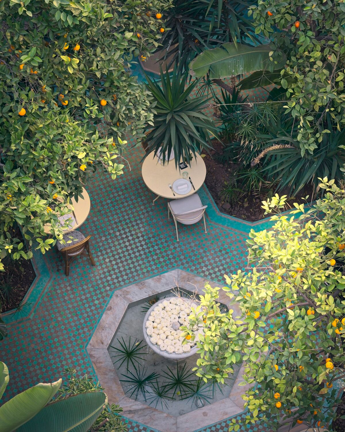 Marrakech courtyard with fruit trees and outdoor tables